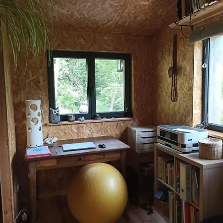 Isole En Pleine Foret