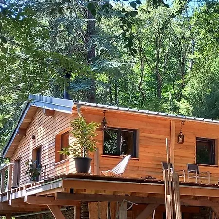 Isole En Pleine Foret