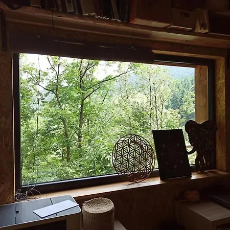 Isole En Pleine Foret Chalet