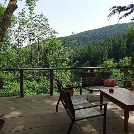 Chalet Isole En Pleine Foret
