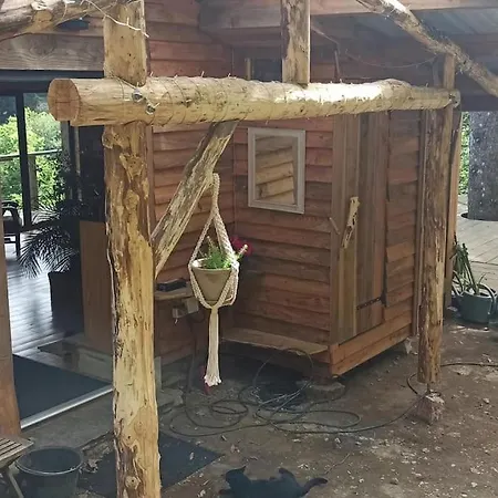Chalet Isole En Pleine Foret