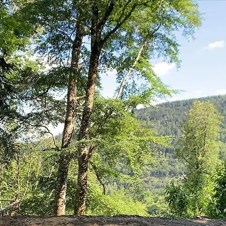 Isole En Pleine Foret Chalet *