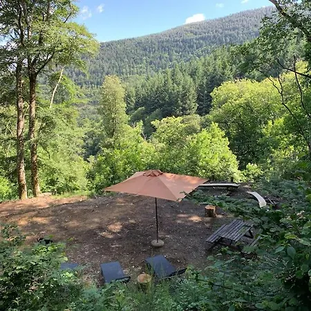 Isole En Pleine Foret Chalet Lespinassiere