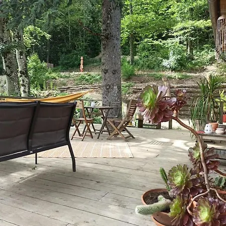 Isole En Pleine Foret