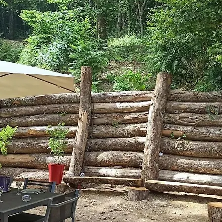 Chalet Isole En Pleine Foret