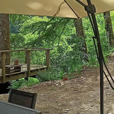 Chalet Isole En Pleine Foret *