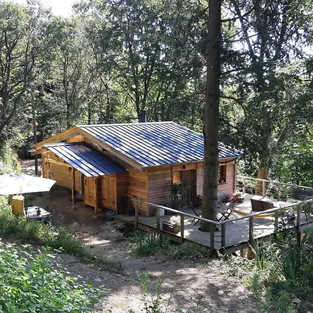 Isole En Pleine Foret * Lespinassiere