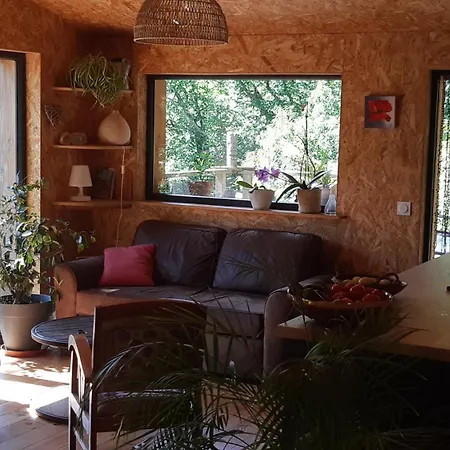 Chalet Isole En Pleine Foret