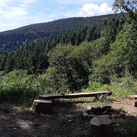 Isole En Pleine Foret Chalet Lespinassiere
