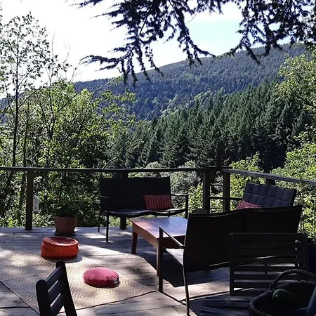 Isole En Pleine Foret *