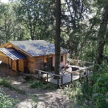 Isole En Pleine Foret
