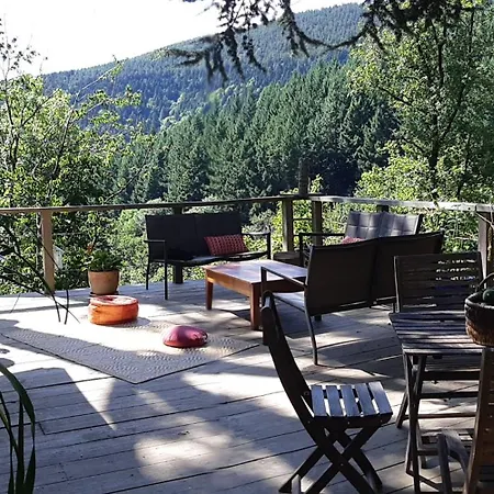 Isole En Pleine Foret Lespinassiere