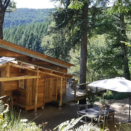 Chalet Isole En Pleine Foret